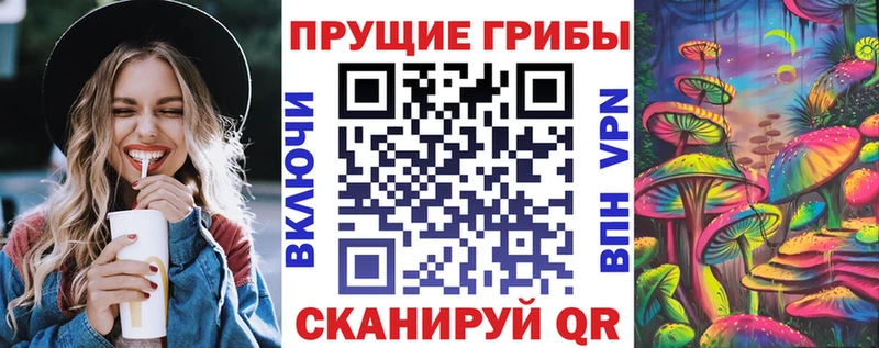 кракен   Горнозаводск  Галлюциногенные грибы мицелий 